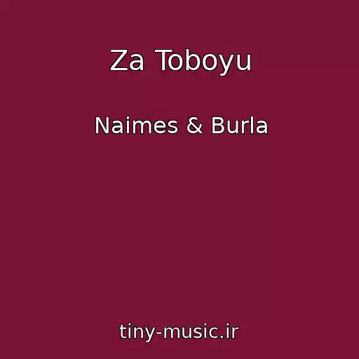 کاور آهنگ Za Toboyu از Naimes & Burla