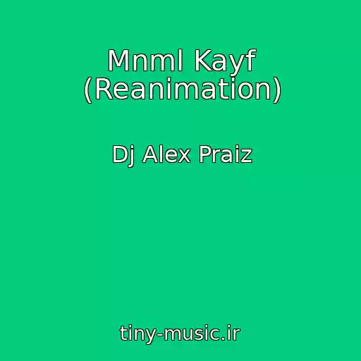 کاور آهنگ Mnml Kayf (Reanimation) از Dj Alex Praiz