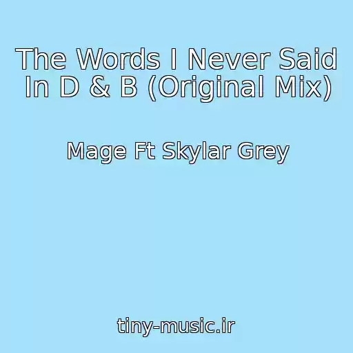 کاور آهنگ The Words I Never Said In D & B (Original Mix) از Mage Ft Skylar Grey