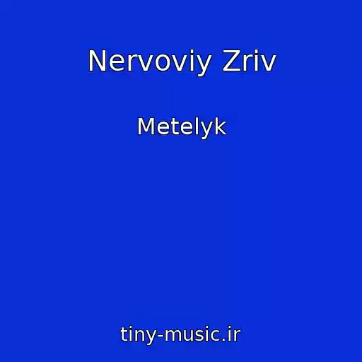 کاور آهنگ Nervoviy Zriv از Metelyk