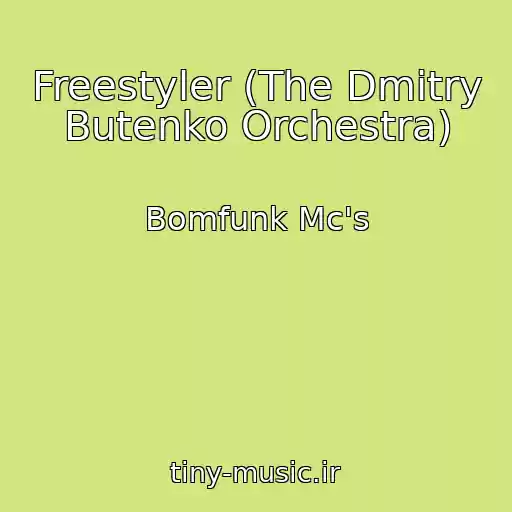 کاور آهنگ Freestyler (The Dmitry Butenko Orchestra) از Bomfunk Mc's