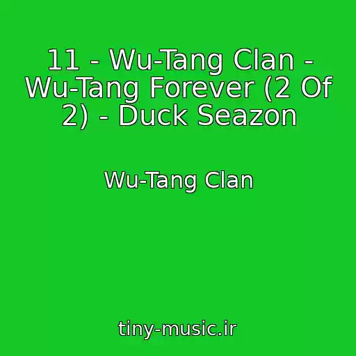 کاور آهنگ 11 - Wu-Tang Clan - Wu-Tang Forever (2 Of 2) - Duck Seazon از Wu-Tang Clan
