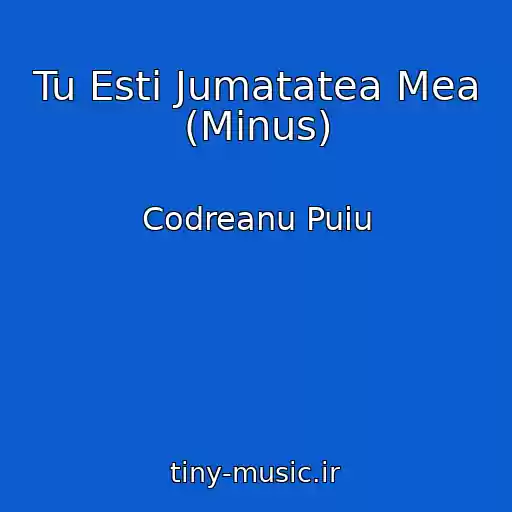 کاور آهنگ Tu Esti Jumatatea Mea (Minus) از Codreanu Puiu
