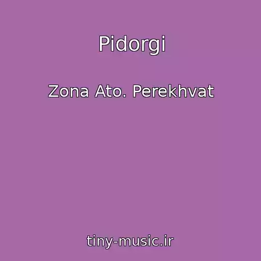 کاور آهنگ Pidorgi از Zona Ato. Perekhvat