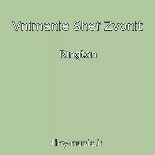 کاور آهنگ Vnimanie Shef Zvonit از Rington