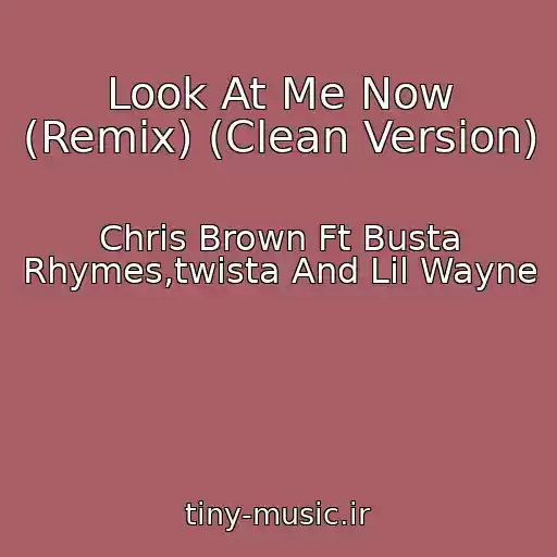 کاور آهنگ Look At Me Now (Remix) (Clean Version) از Chris Brown Ft Busta Rhymes,twista And Lil Wayne