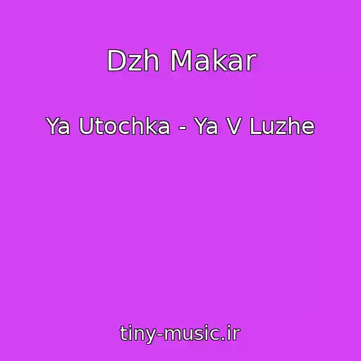 کاور آهنگ Dzh Makar از Ya Utochka - Ya V Luzhe