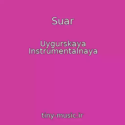 کاور آهنگ Suar از Uygurskaya Instrumentalnaya