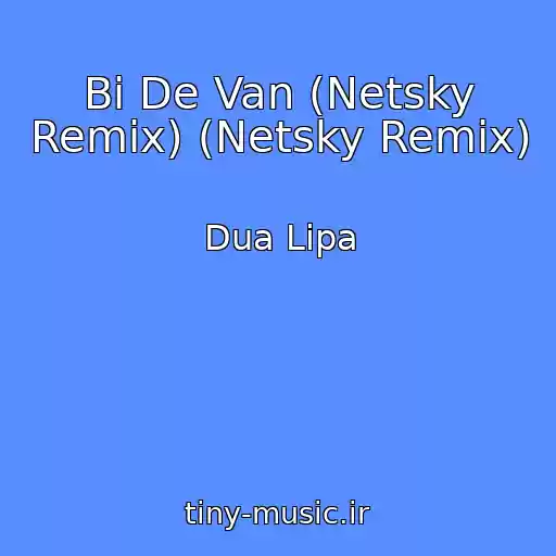 کاور آهنگ Bi De Van (Netsky Remix) (Netsky Remix) از Dua Lipa