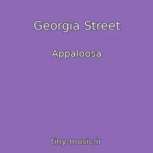 کاور آهنگ Georgia Street از Appaloosa