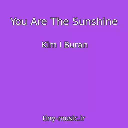 کاور آهنگ You Are The Sunshine از Kim I Buran