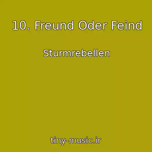 کاور آهنگ 10. Freund Oder Feind از Sturmrebellen