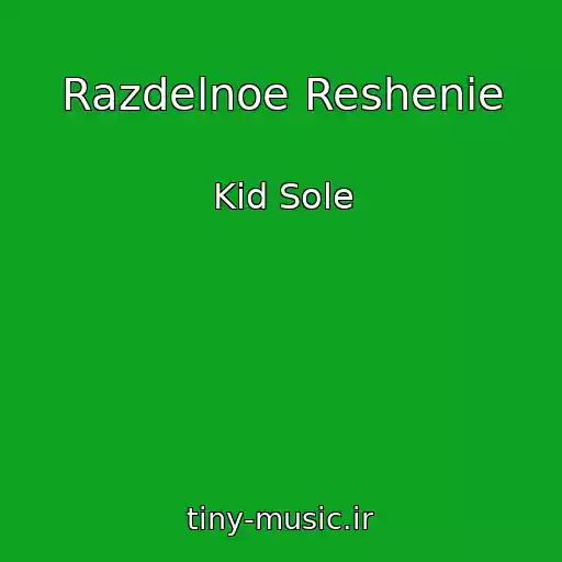 کاور آهنگ Razdelnoe Reshenie از Kid Sole