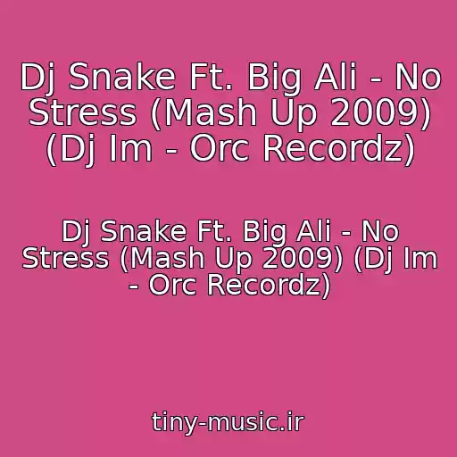 کاور آهنگ Dj Snake Ft. Big Ali - No Stress (Mash Up 2009) (Dj Im - Orc Recordz) از Dj Snake Ft. Big Ali - No Stress (Mash Up 2009) (Dj Im - Orc Recordz)