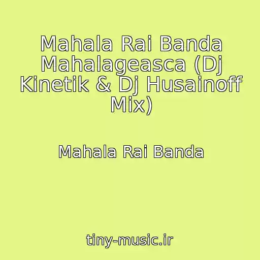 کاور آهنگ Mahala Rai Banda Mahalageasca (Dj Kinetik & Dj Husainoff Mix) از Mahala Rai Banda