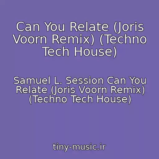کاور آهنگ Can You Relate (Joris Voorn Remix) (Techno Tech House) از Samuel L. Session Can You Relate (Joris Voorn Remix) (Techno Tech House)