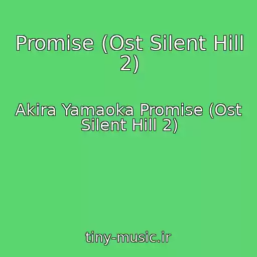 کاور آهنگ Promise (Ost Silent Hill 2) از Akira Yamaoka Promise (Ost Silent Hill 2)