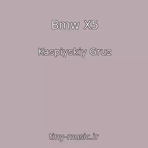 کاور آهنگ Bmw X5 از Kaspiyskiy Gruz
