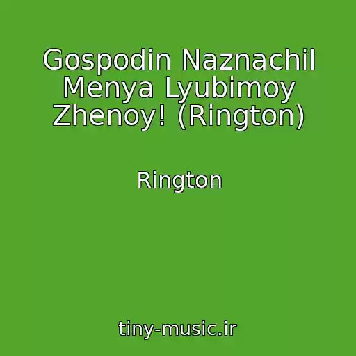 کاور آهنگ Gospodin Naznachil Menya Lyubimoy Zhenoy! (Rington) از Rington