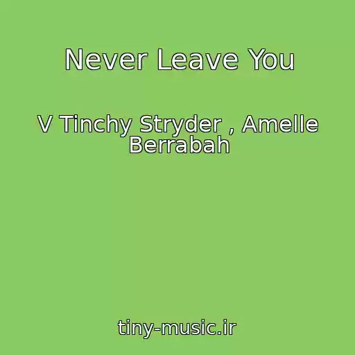 کاور آهنگ Never Leave You از V Tinchy Stryder , Amelle Berrabah