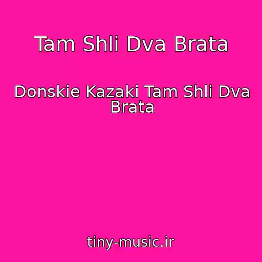 کاور آهنگ Tam Shli Dva Brata از Donskie Kazaki Tam Shli Dva Brata