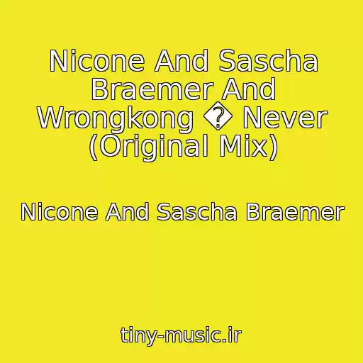 کاور آهنگ Nicone And Sascha Braemer And Wrongkong � Never (Original Mix) از Nicone And Sascha Braemer