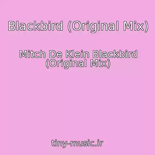 کاور آهنگ Blackbird (Original Mix) از Mitch De Klein Blackbird (Original Mix)