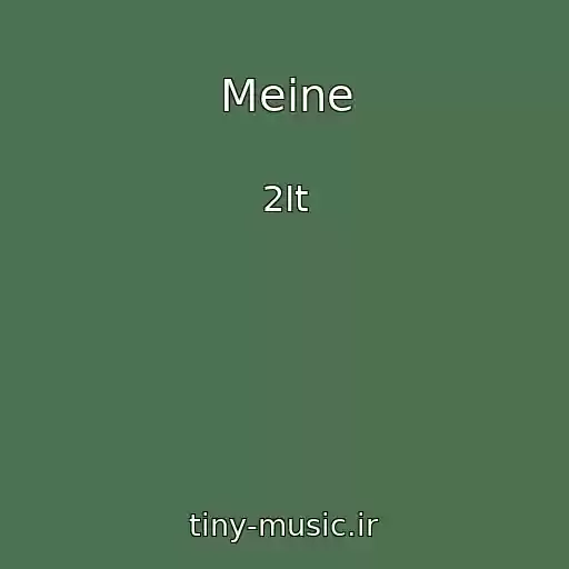 کاور آهنگ Meine از 2It