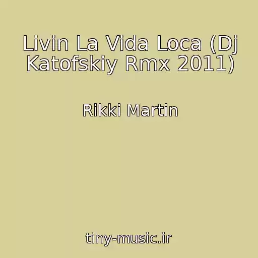 کاور آهنگ Livin La Vida Loca (Dj Katofskiy Rmx 2011) از Rikki Martin