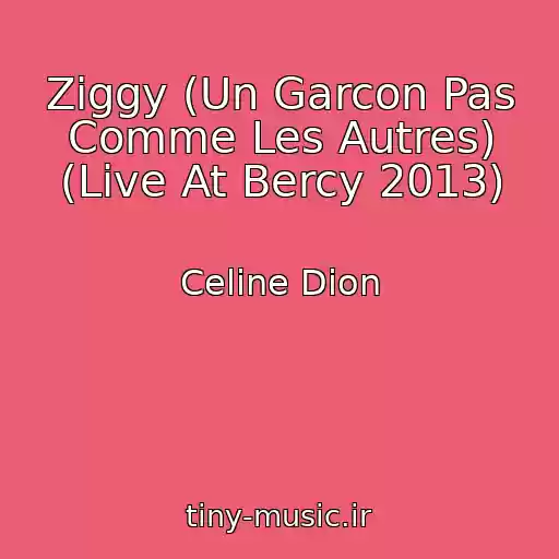 کاور آهنگ Ziggy (Un Garcon Pas Comme Les Autres) (Live At Bercy 2013) از Celine Dion