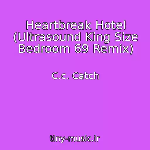 کاور آهنگ Heartbreak Hotel (Ultrasound King Size Bedroom 69 Remix) از C.c. Catch