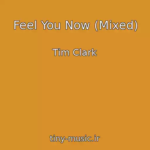 کاور آهنگ Feel You Now (Mixed) از Tim Clark