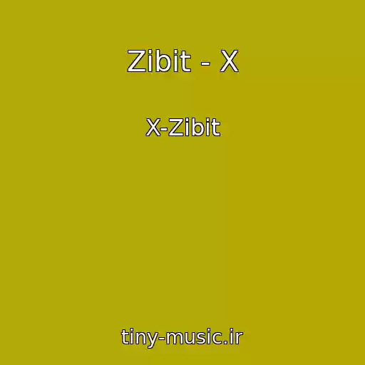 کاور آهنگ Zibit - X از X-Zibit