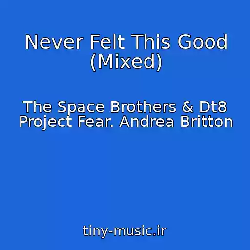کاور آهنگ Never Felt This Good (Mixed) از The Space Brothers & Dt8 Project Fear. Andrea Britton