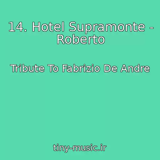 کاور آهنگ 14. Hotel Supramonte - Roberto از Tribute To Fabrizio De Andre