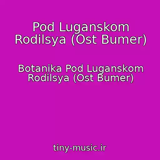 کاور آهنگ Pod Luganskom Rodilsya (Ost Bumer) از Botanika Pod Luganskom Rodilsya (Ost Bumer)