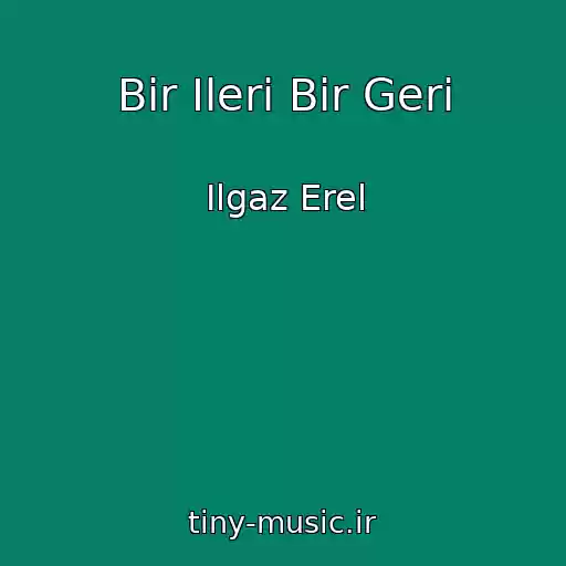 کاور آهنگ Bir Ileri Bir Geri از Ilgaz Erel