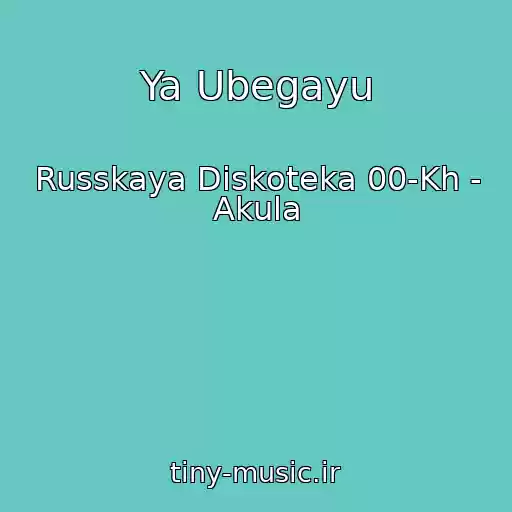 کاور آهنگ Ya Ubegayu از Russkaya Diskoteka 00-Kh - Akula