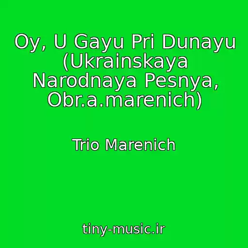 کاور آهنگ Oy, U Gayu Pri Dunayu (Ukrainskaya Narodnaya Pesnya, Obr.a.marenich) از Trіo Marenich