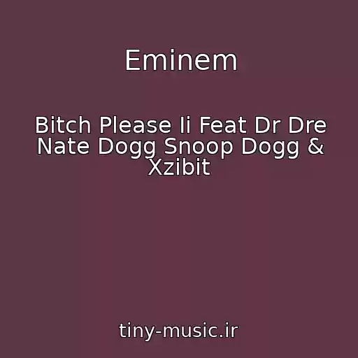 کاور آهنگ Eminem از Bitch Please Ii Feat Dr Dre Nate Dogg Snoop Dogg & Xzibit