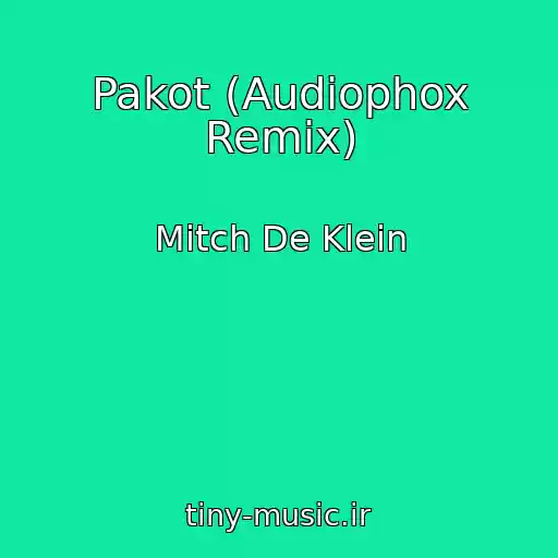 کاور آهنگ Pakot (Audiophox Remix) از Mitch De Klein