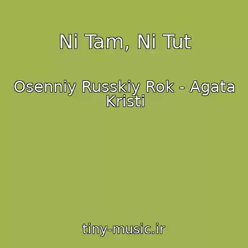 کاور آهنگ Ni Tam, Ni Tut از Osenniy Russkiy Rok - Agata Kristi