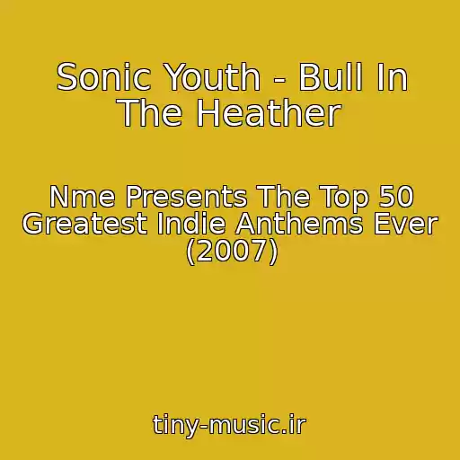 کاور آهنگ Sonic Youth - Bull In The Heather از Nme Presents The Top 50 Greatest Indie Anthems Ever (2007)
