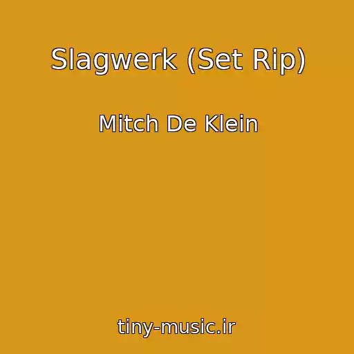 کاور آهنگ Slagwerk (Set Rip) از Mitch De Klein