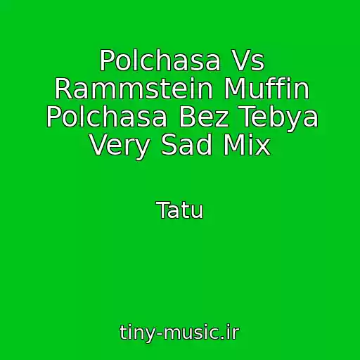 کاور آهنگ Polchasa Vs Rammstein Muffin Polchasa Bez Tebya Very Sad Mix از Tatu