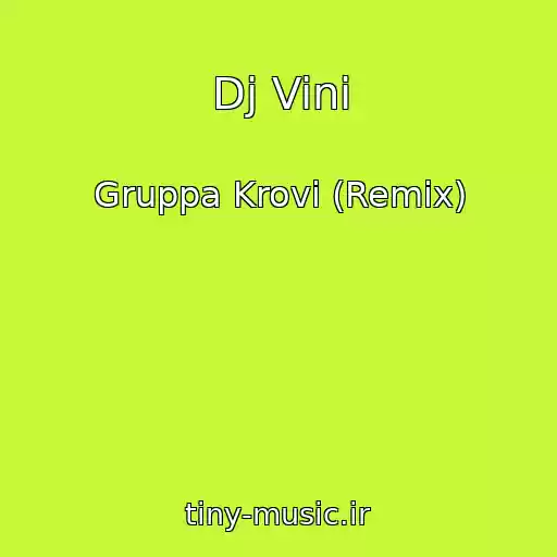 کاور آهنگ Dj Vini از Gruppa Krovi (Remix)
