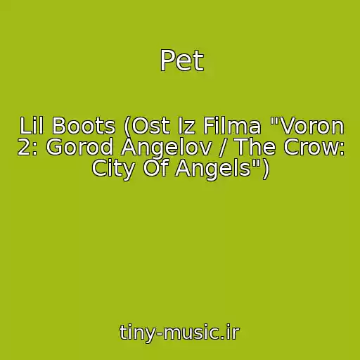کاور آهنگ Pet از Lil Boots (Ost Iz Filma "Voron 2: Gorod Angelov / The Crow: City Of Angels")