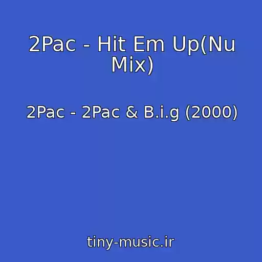کاور آهنگ 2Pac - Hit Em Up(Nu Mix) از 2Pac - 2Pac & B.i.g (2000)