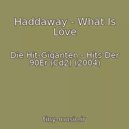 کاور آهنگ Haddaway - What Is Love از Die Hit-Giganten - Hits Der 90Er (Cd2) (2004)
