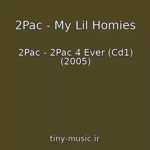 کاور آهنگ 2Pac - My Lil Homies از 2Pac - 2Pac 4 Ever (Cd1) (2005)